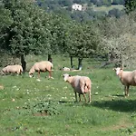 S\' Oratge